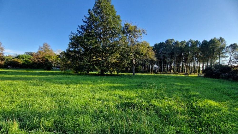 Maisons neuves   Uzeste (33730)