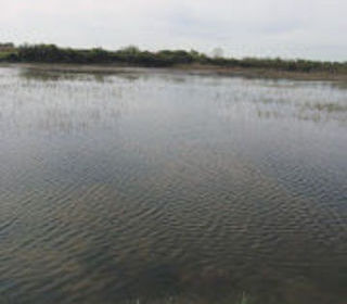  Terrain � vendre 17200 m�