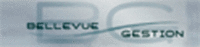 BELLEVUE GESTION
