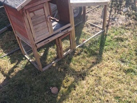 Cage  a poule 90 76410 Saint-aubin-l�s-elbeuf