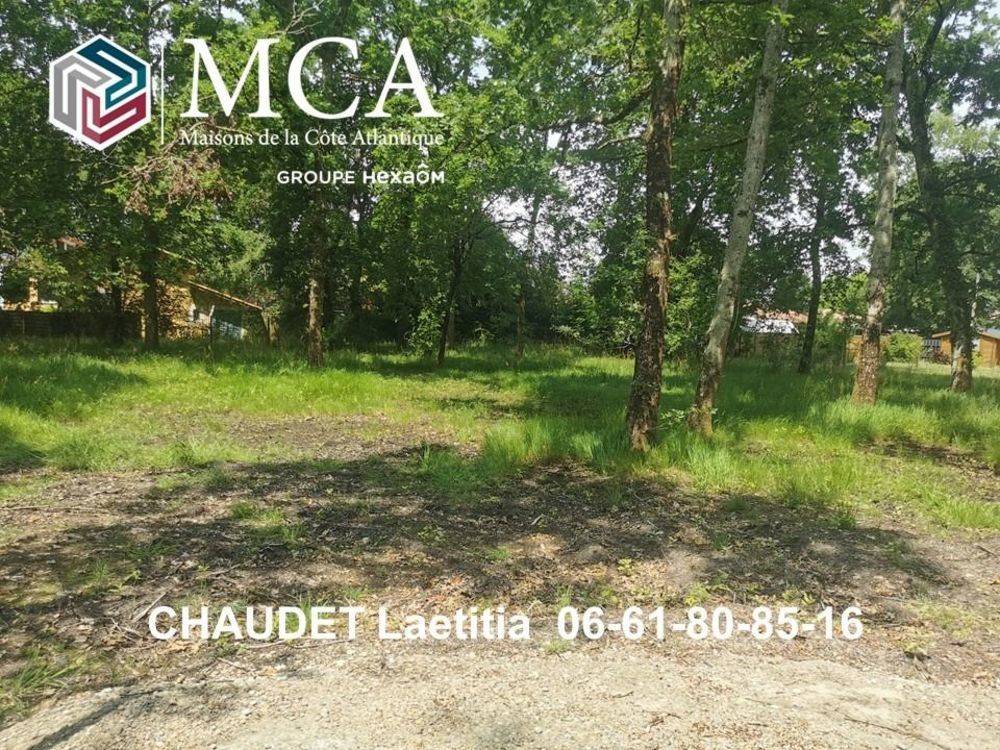 Maisons neuves   Hourtin (33990)