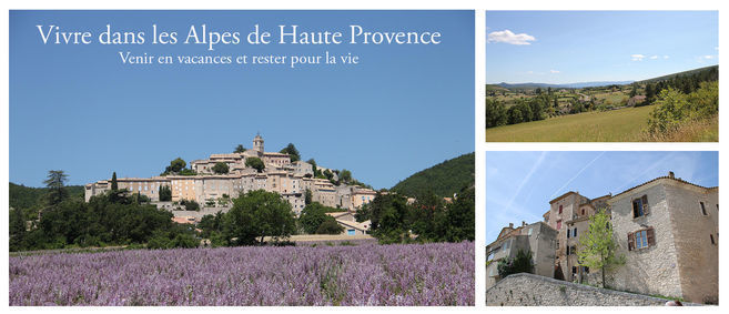 ALPES PROVENCE DESTINATION, agence immobilire 04