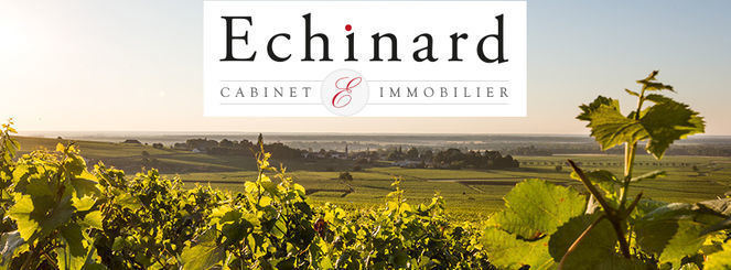 Agence CABINET PATRICK ECHINARD Beaune