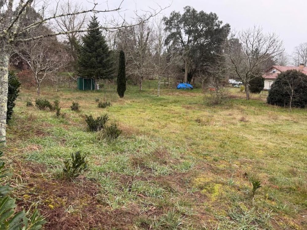 Maisons neuves   L�vignacq (40170)