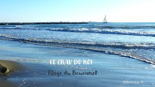 Location  Appartement 