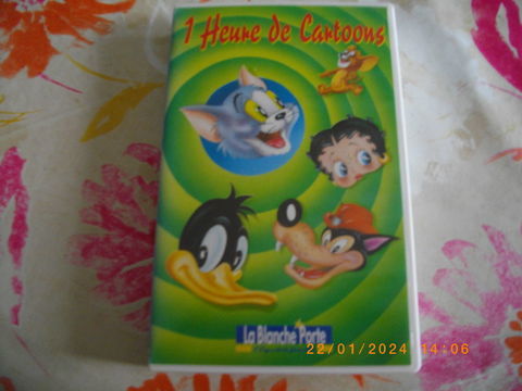CASSETTE VIDEO VHS DE :  DESSINS ANIMES CA CARTOON  5 Perros-Guirec (22)