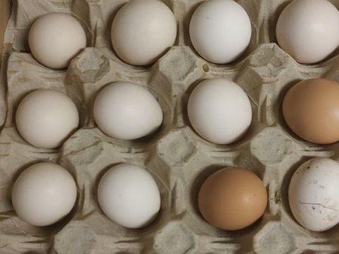 Oeufs de poule 0 93160 Noisy-le-grand