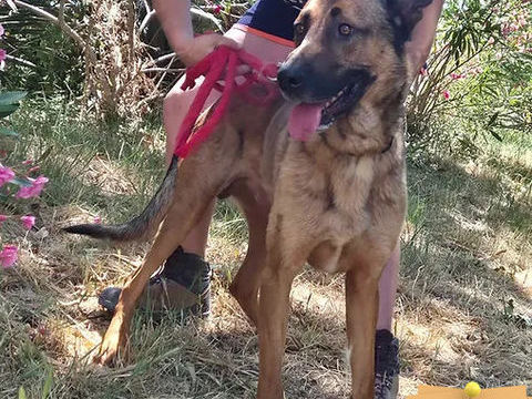 Tito 230 26700 Pierrelatte