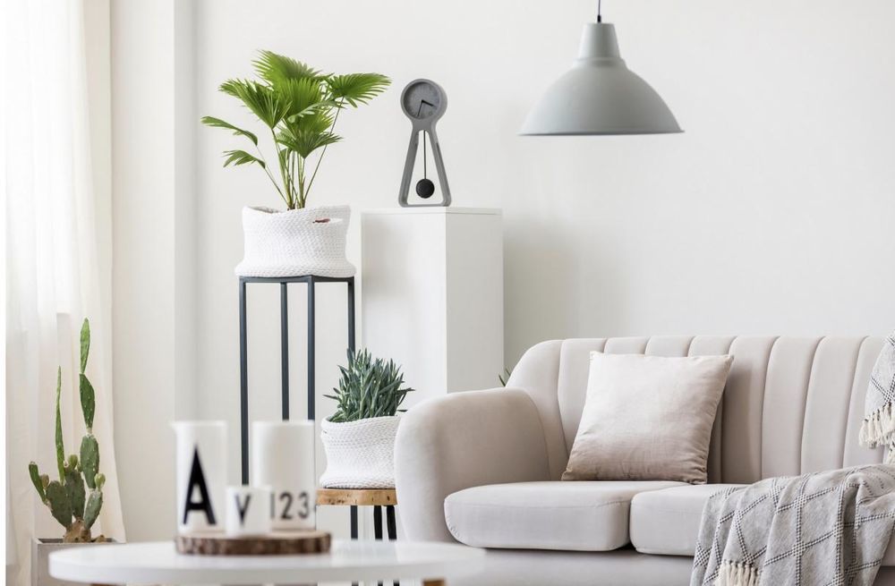 Appartements neufs   Montigny-ls-Cormeilles (95370)