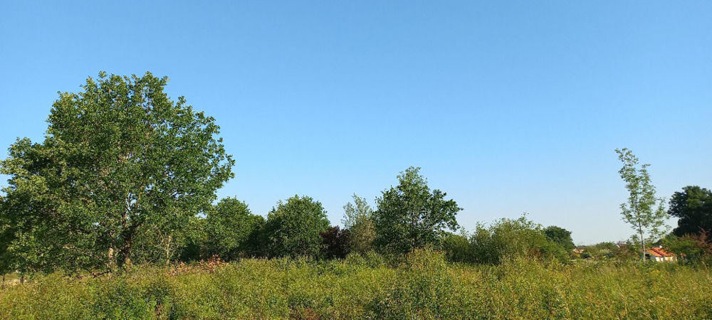 Terrains � batir   Montpon-M�nest�rol (24700)