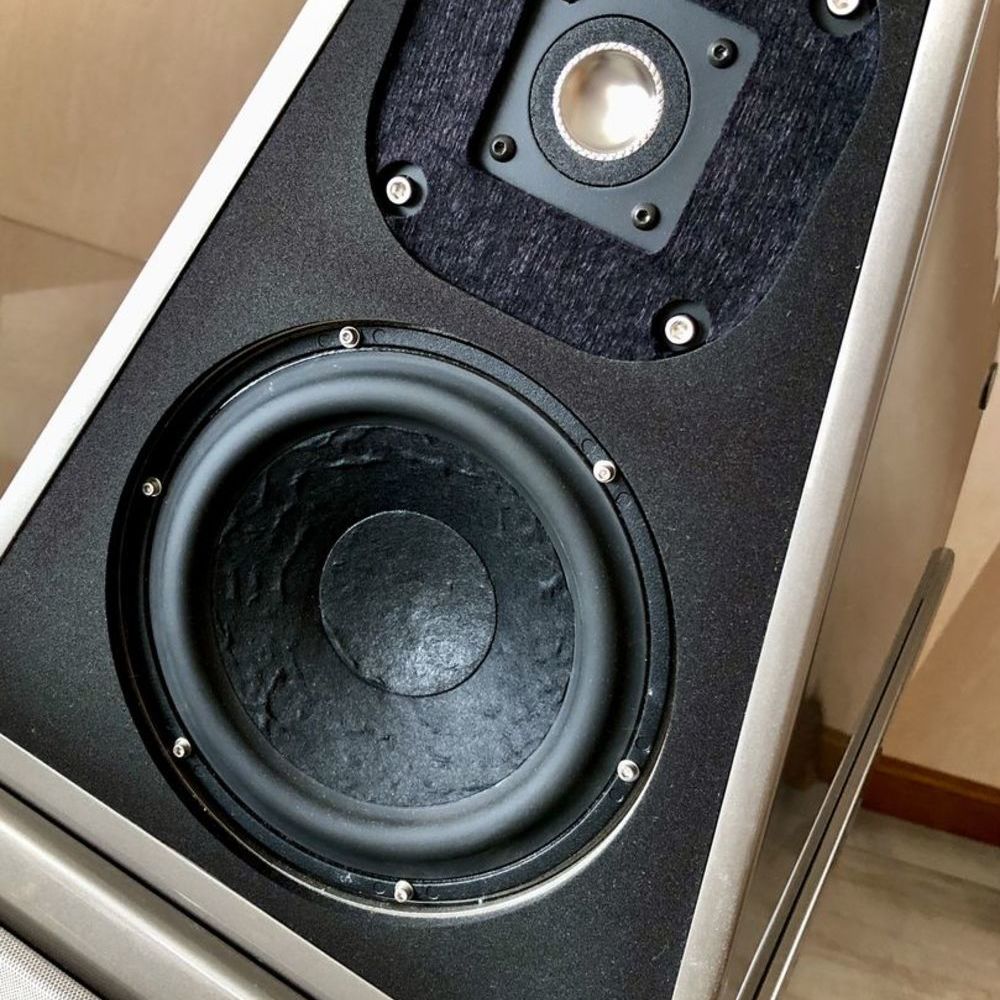 Wilson Audio watt Puppy 8 Audio et hifi