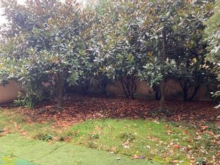  Appartement � louer 3 pi�ces 65 m�