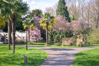  Duplex/triplex � vendre 5 pi�ces 85 m�