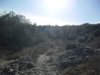  Terrain � vendre 6575 m� Sauve