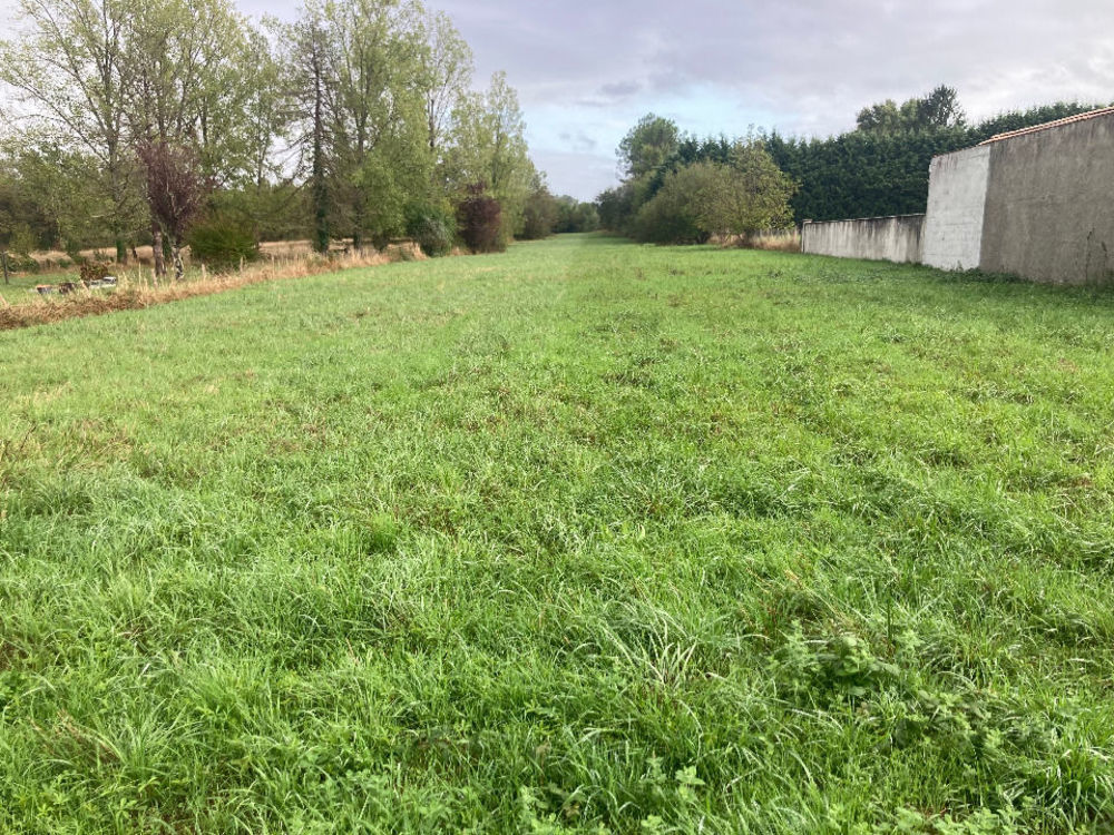   La Roche-Chalais (24490)