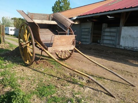 Charrette anglaise &agrave; cheval,grand &acirc;ne; 300 85690 Notre-dame-de-monts