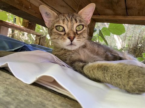 KAELA 200 26700 Pierrelatte