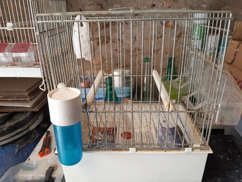CAGES DE CHANT 15 95170 Deuil-la-barre