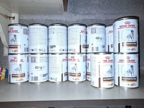 Royal Canin Vet Chien Gastrointestinal Low Fat 17 x 420 g 70 62126 Wimille