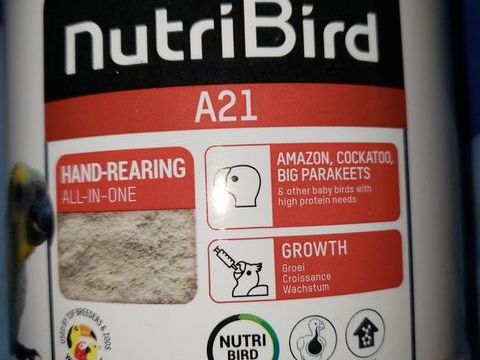 Nutriment bébé perroquet 14 59320 Haubourdin