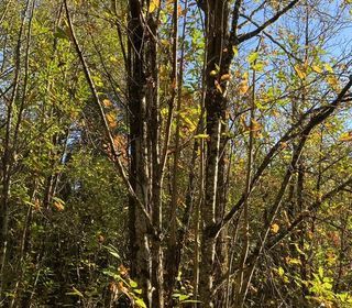  Terrain � vendre 4480 m�