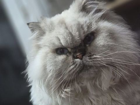 SOLENN 300 27140 Gisors