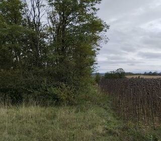  Terrain � vendre 900 m�