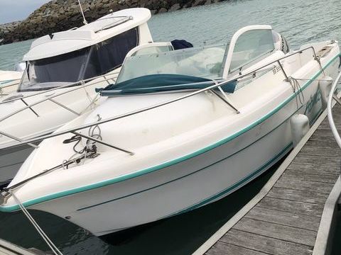 Bateaux &agrave; moteur P&ecirc;che-promenade 2002 occasion Saint-Quay-Portrieux 22410