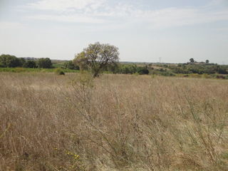  Terrain � vendre 9343 m�