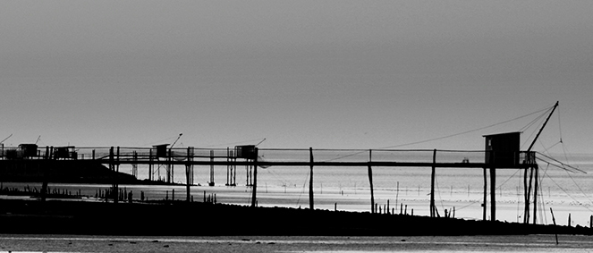 Agence GATTY IMMOBILIER CONSEILS Andernos-les-Bains