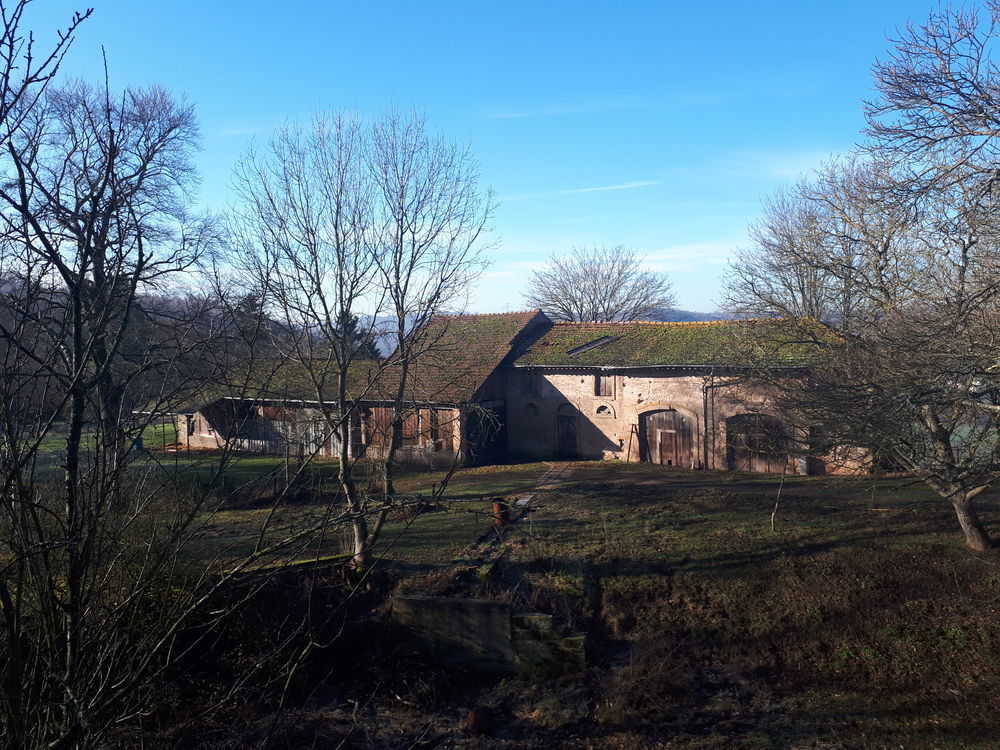 � vendre  Propri�t�/ch�teau Ham-sous-Varsberg (57880)