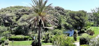  Appartement � vendre 2 pi�ces 40 m�