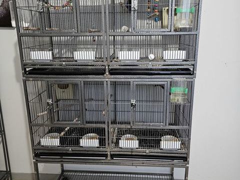 voli&egrave;re 150 18600 Sancoins