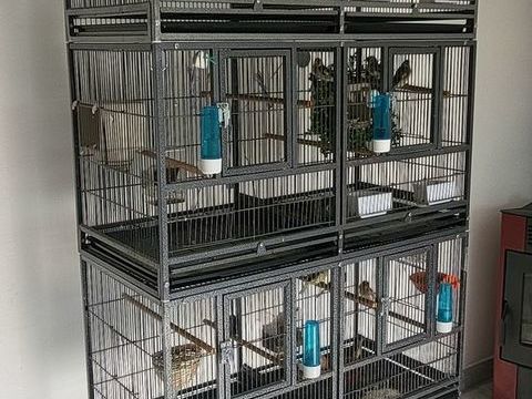 Batterie d &eacute;levage oiseaux 300 86430 Luchapt