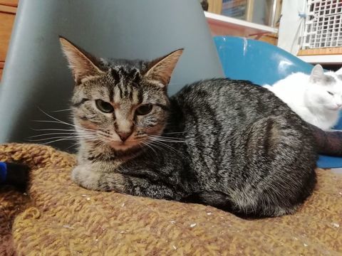 VANDA 210 92400 Courbevoie