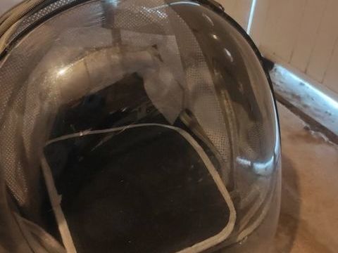 Sac a dos de déplacement pour chat 5 49290 Chalonnes-sur-loire