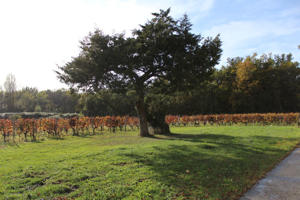 � vendre  Propri�t�/ch�teau Blaye (33390)