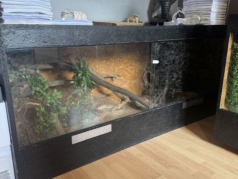 Terrarium + occupants 100 27940 Les trois lacs