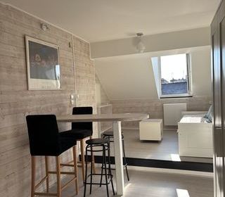  Appartement � louer 1 pi�ce 26 m�