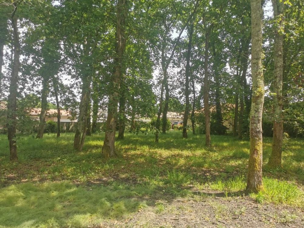 Maisons neuves   Lanton (33138)