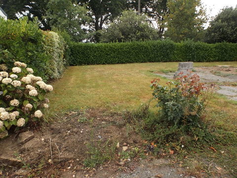 Mobil-Home Mobil-Home 2026 occasion Ambon 56190