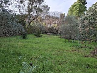  Terrain � vendre 515 m�