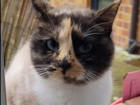 Héméra 190 59154 Crespin