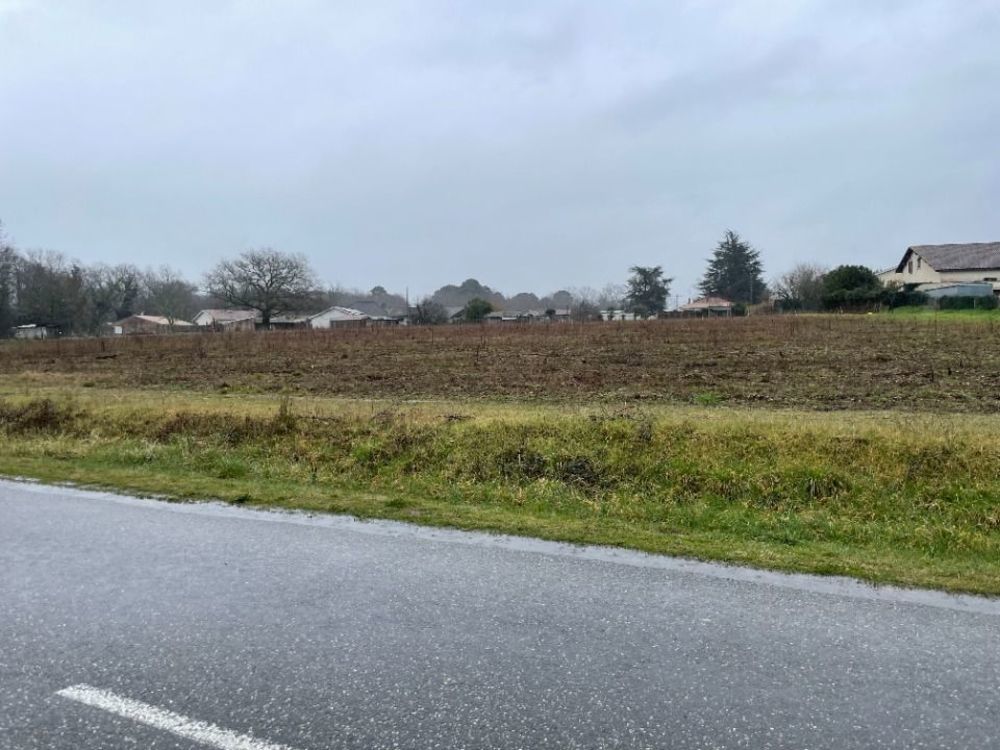 Maisons neuves   Blanquefort (33290)