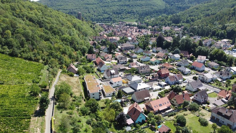 Terrains � batir   Kaysersberg (68240)