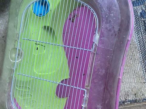 Cage plexi pour hamster souris 18 94800 Villejuif