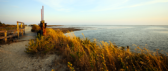 ACTU'ELLE IMMOBILIER, locations vacances 30