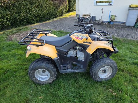 KYMCO Quad 2006 occasion Senonches 28250