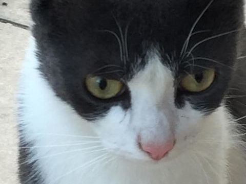 Noêl  Né le 1er septembre 2017 165 91480 Varennes-jarcy