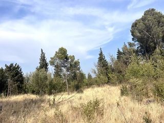  Terrain � vendre 4795 m�